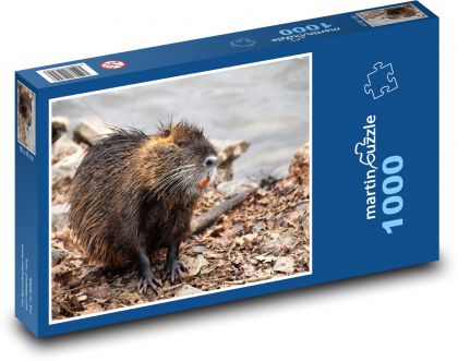 Nutria - Wassertier - Puzzle - 1000 Teile