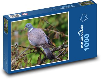Pigeon - bird, animal - Puzzle 1000 pieces, size 60x46 cm 