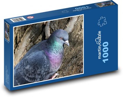 Holub - vták, ornitológia - Puzzle 1000 dielikov, rozmer 60x46 cm