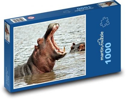 Hippo - Africa, Safari - Puzzle 1000 pieces, size 60x46 cm 