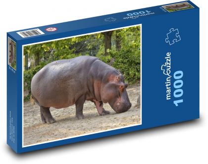 Hroch - zviera, Afrika - Puzzle 1000 dielikov, rozmer 60x46 cm