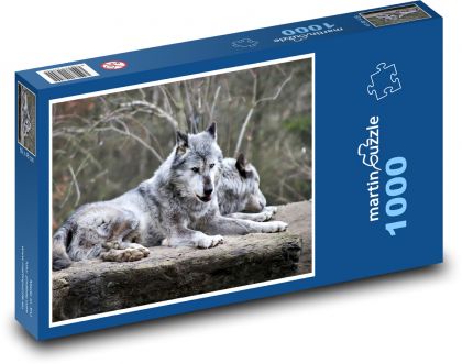 Vlk - divoké zvíře, příroda - Puzzle 1000 dílků, rozměr 60x46 cm