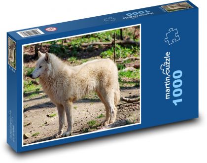 Biały wilk - dzikie zwierzę - Puzzle 1000 elementów, rozmiar 60x46 cm