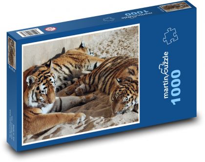 Tiger - schlafende Raubkatzen - Puzzle - 1000 Teile