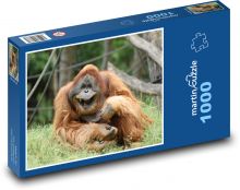 Vysmátý orangutan - opice, zoo Puzzle 1000 dílků - 60 x 46 cm