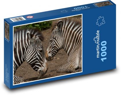 Zebra - matka s mládětem - puzzle 1000 dílků