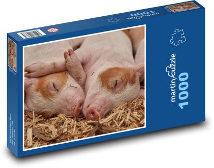 Schlafende Ferkel - Hausschwein, Bauernhof - Puzzle - 1000 Teile