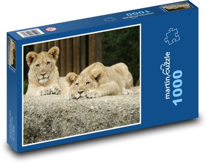 Lion cub - twins, animals - Puzzle 1000 pieces, size 60x46 cm 