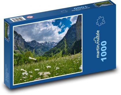 Údolie hory - Švajčiarsko, rozkvitnutá lúka - Puzzle 1000 dielikov, rozmer 60x46 cm