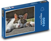 Unavená kočka - domácí mazlíček Puzzle 1000 dílků - 60 x 46 cm