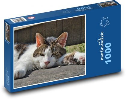 Unavená mačka - domáci maznáčik - Puzzle 1000 dielikov, rozmer 60x46 cm