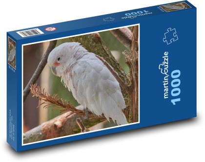 Kakadu - ptak, papuga - Puzzle 1000 elementów, rozmiar 60x46 cm