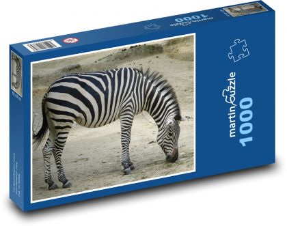 Zebra - Afryka, Safari - Puzzle 1000 elementów, rozmiar 60x46 cm