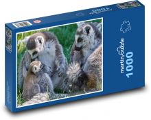 Lemur - opice, mládě Puzzle 1000 dílků - 60 x 46 cm