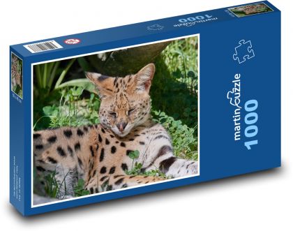 Divoká kočka - rys, Afrika  - Puzzle 1000 dílků, rozměr 60x46 cm