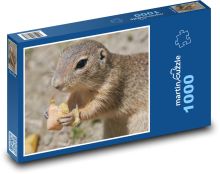 Sysel - hlodavec, hlad Puzzle 1000 - 60x46 cm