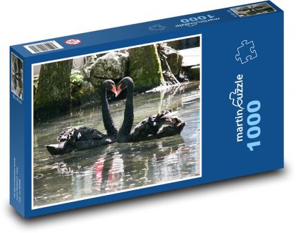 Čierna labuť - srdce, zviera - Puzzle 1000 dielikov, rozmer 60x46 cm