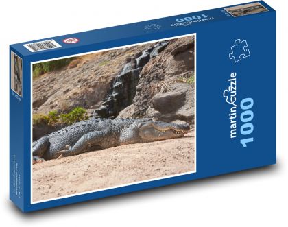 Krokodíl - spanie na pláži - Puzzle 1000 dielikov, rozmer 60x46 cm