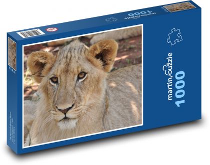 Levica - divoká mačka, cicavec - Puzzle 1000 dielikov, rozmer 60x46 cm