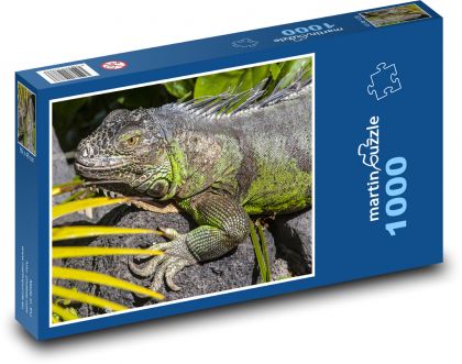 Iguana - jaszczurka, gad - Puzzle 1000 elementów, rozmiar 60x46 cm