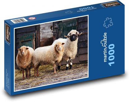 Ovce - savec, přežvýkavec - Puzzle 1000 dílků, rozměr 60x46 cm