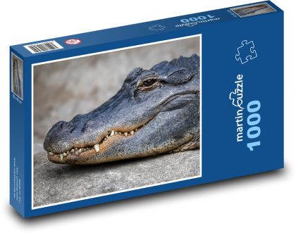 Aligátor - krokodýl, plaz - Puzzle 1000 dílků, rozměr 60x46 cm