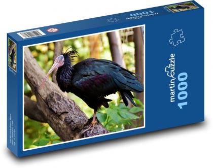 Černý ibis - pták na stromě, zvíře - Puzzle 1000 dílků, rozměr 60x46 cm