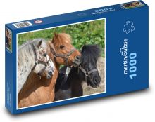 Ponies - young horses, foals Puzzle 1000 pieces - 60 x 46 cm 