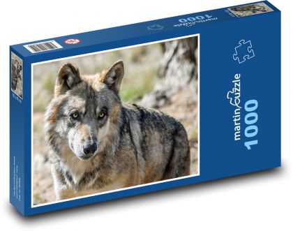 Grauer Wolf - Tier, Raubtier - Puzzle - 1000 Teile