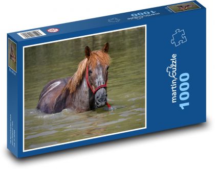 Kôň vo vode - kúpanie, rybník - Puzzle 1000 dielikov, rozmer 60x46 cm