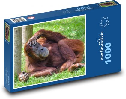 Orang-Utan - schlafender Affe, Tier - Puzzle - 1000 Teile