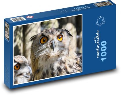 Sova - pták, oči - puzzle 1000 dílků