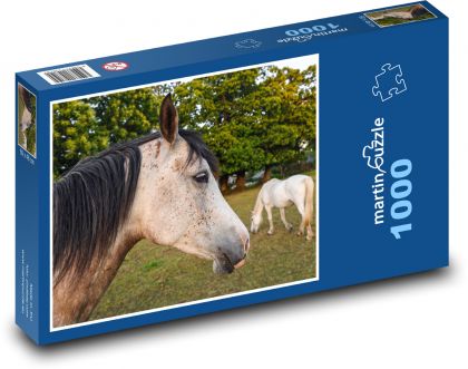 Kůň na poli - pást se, zvíře - Puzzle 1000 dílků, rozměr 60x46 cm