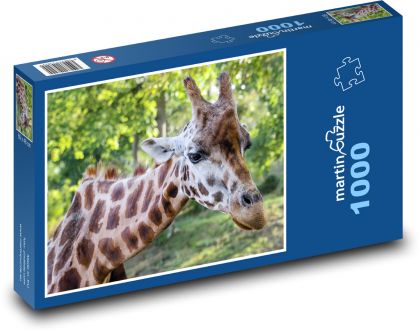 Giraffe - head, neck - Puzzle 1000 pieces, size 60x46 cm 