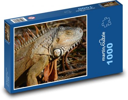 Leguan - Reptil, Tier - Puzzle - 1000 Teile