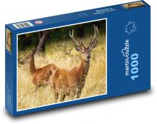 Jelen a laň - les, zvířata Puzzle 1000 dílků - 60 x 46 cm