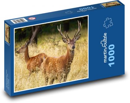 Jeleň a doe - les, zvieratá - Puzzle 1000 dielikov, rozmer 60x46 cm