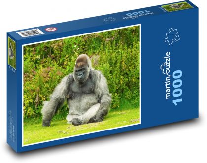 Gorila - zvíře, příroda - Puzzle 1000 dílků, rozměr 60x46 cm