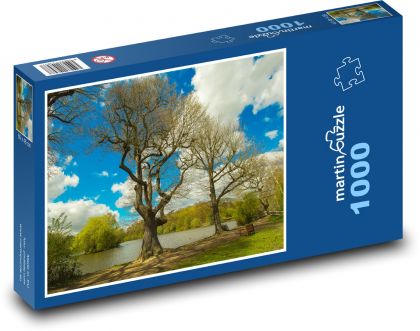 Stromy - jaro, jezero - Puzzle 1000 dílků, rozměr 60x46 cm