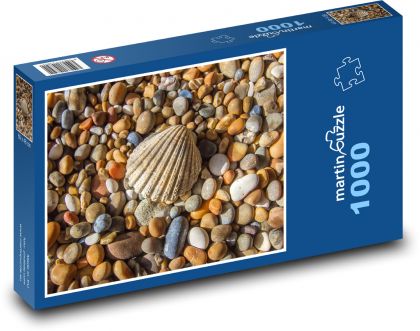 Muszle - ocean, kamyki - Puzzle 1000 elementów, rozmiar 60x46 cm