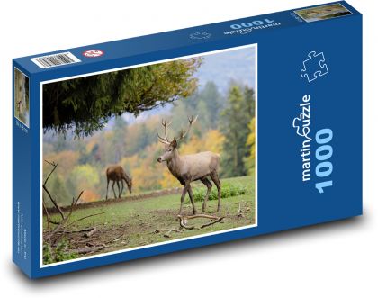 Príroda - jeleň, zviera - Puzzle 1000 dielikov, rozmer 60x46 cm