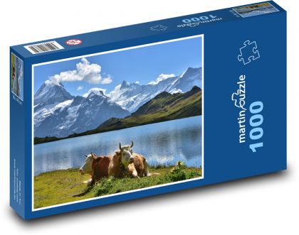 Hory, jezero, krávy - Puzzle 1000 dílků, rozměr 60x46 cm