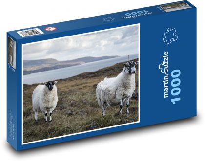 Ovce - zviera, vlna - Puzzle 1000 dielikov, rozmer 60x46 cm