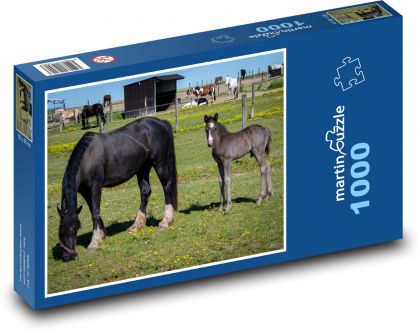Black horse - foal, mare - Puzzle 1000 pieces, size 60x46 cm 