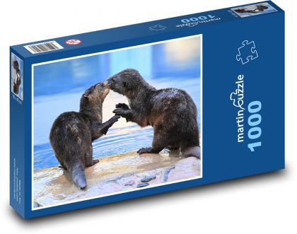 Nordamerikanische Flussotter - Puzzle - 1000 Teile