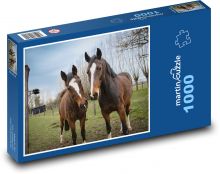 Hnědé koně - hřebec, kobyla Puzzle 1000 dílků - 60 x 46 cm