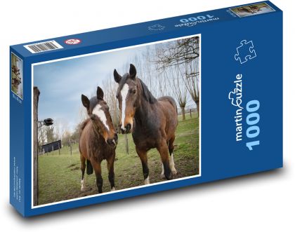 Hnědé koně - hřebec, kobyla - Puzzle 1000 dílků, rozměr 60x46 cm