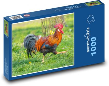 Drůbež - kohout - puzzle 1000 dílků