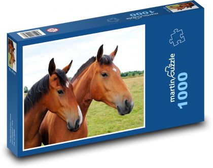 koně - hnědí koně - Puzzle 1000 dílků, rozměr 60x46 cm