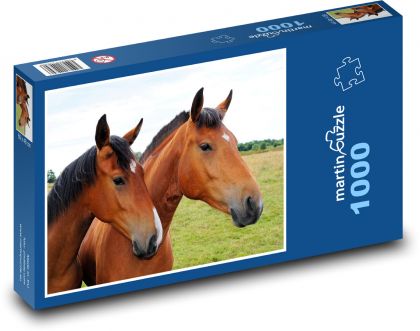 kone - hnedé kone - Puzzle 1000 dielikov, rozmer 60x46 cm